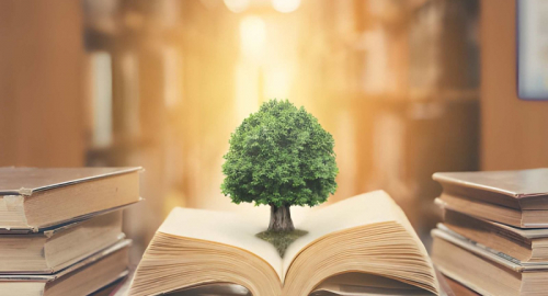 L'Arte di Accompagnare l'Apprendimento: Come Insegnare la Sostenibilit� Attraverso le Sfide